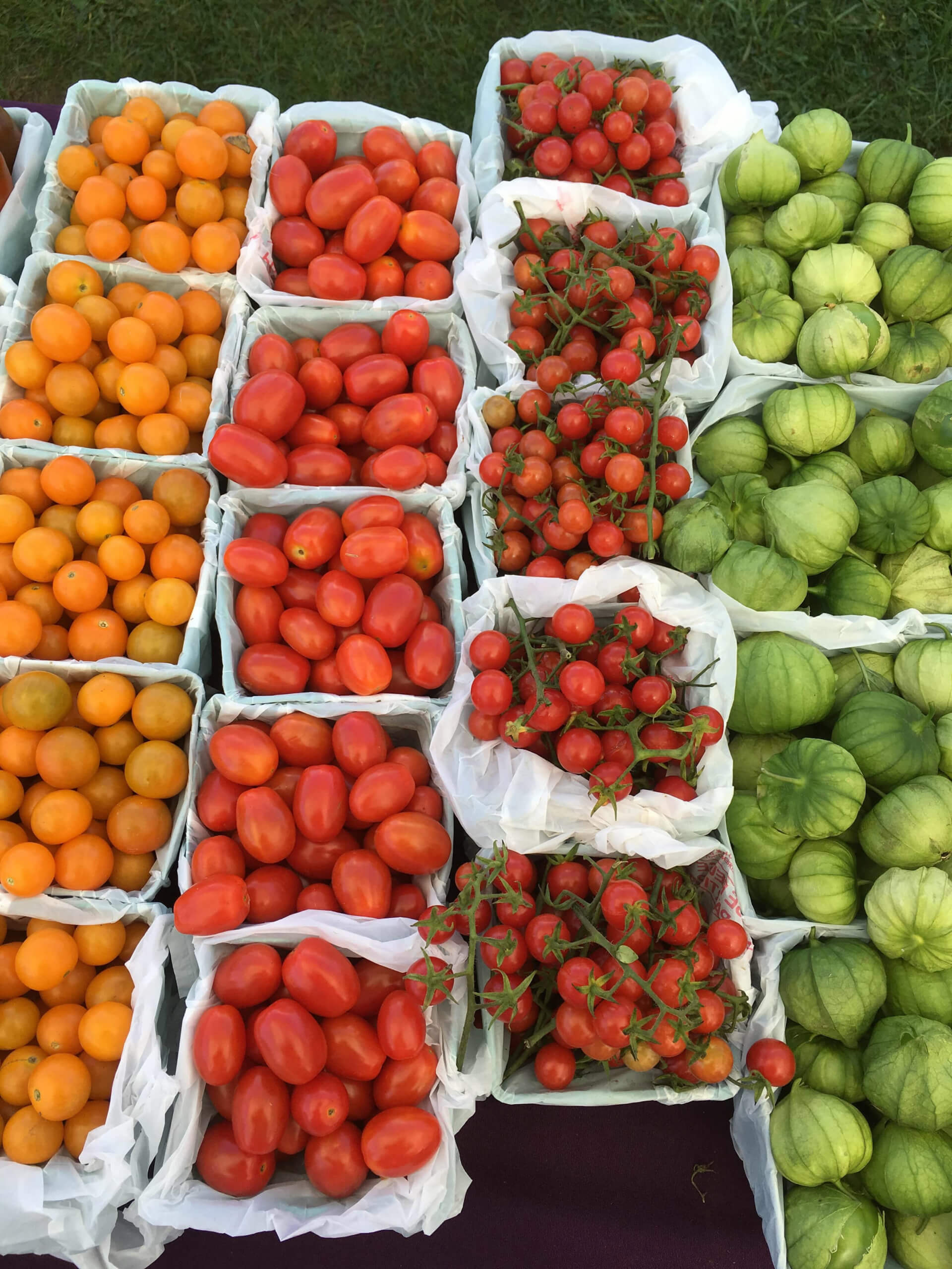 20 cartons of green tomatillos, orange, red and cherry tomatoes.