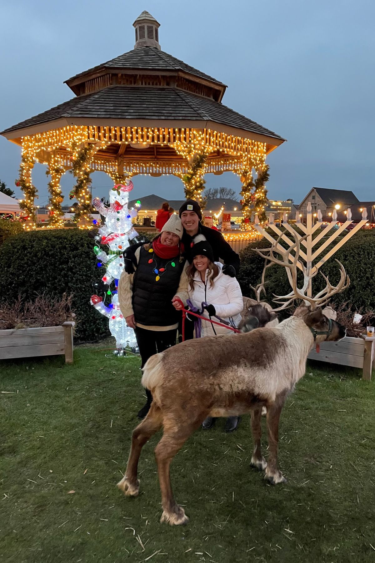 Montauk Chamber of Commerce Magic of Montauk with Live Reindeer